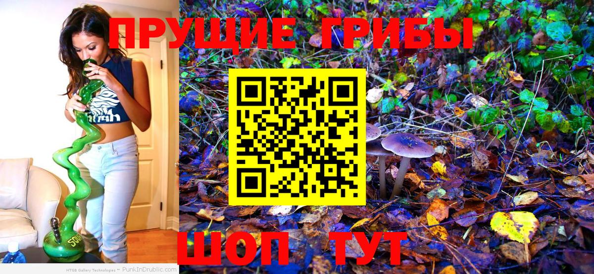Псилоцибиновые грибы прущие грибы Нижний Тагил