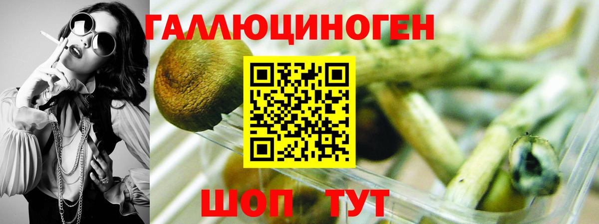 Псилоцибиновые грибы мицелий  Вход с VPN  Нижний Тагил  Галлюциногенные грибы Psilocybine cubensis 
